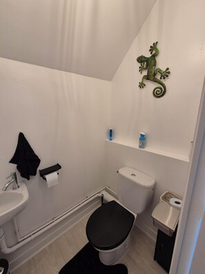 Un baño con inodoro, lavamanos y una decoración de lagarto.