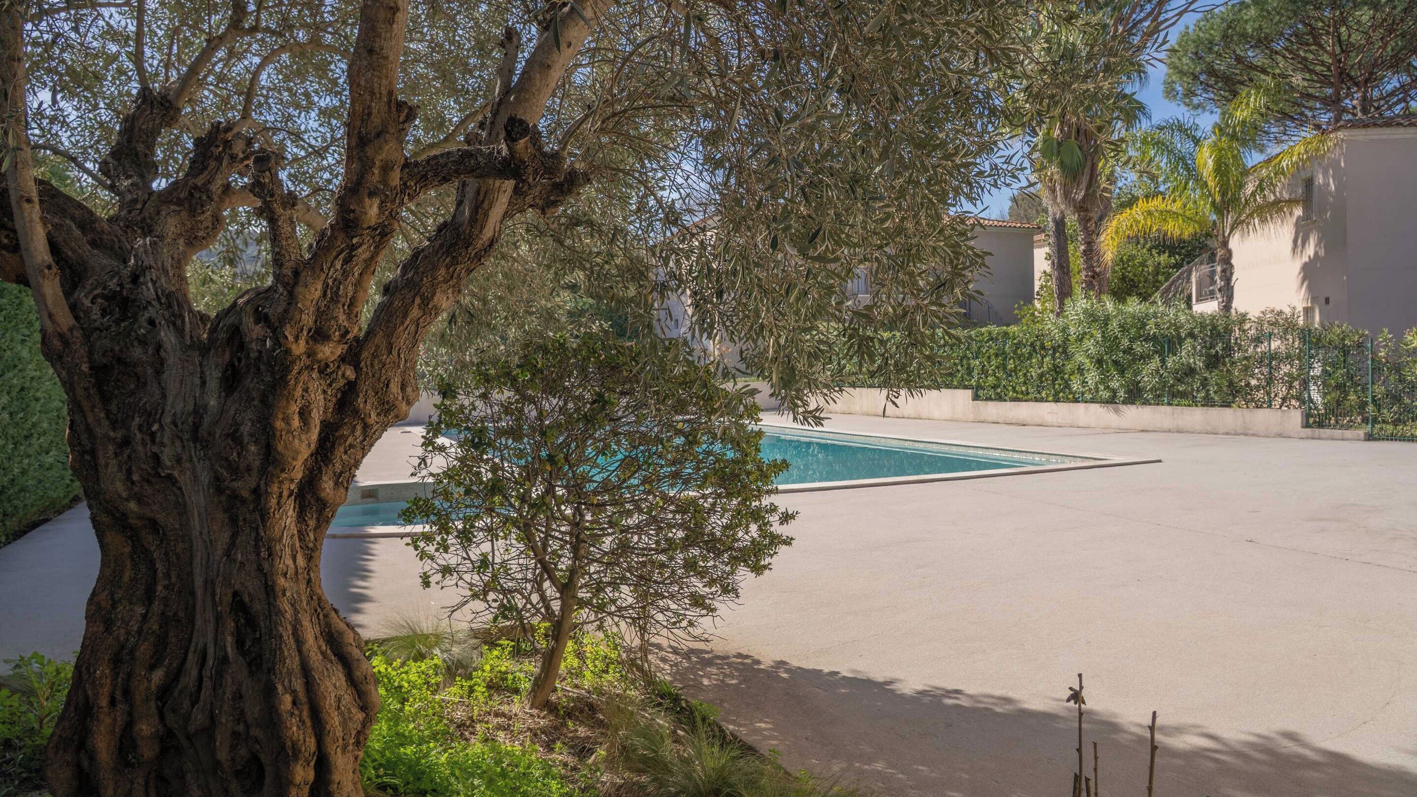 Una piscina rodeada de árboles y un edificio.