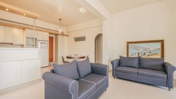 Smart TV, fireplace, books