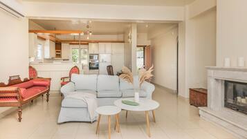 Smart TV, fireplace, books