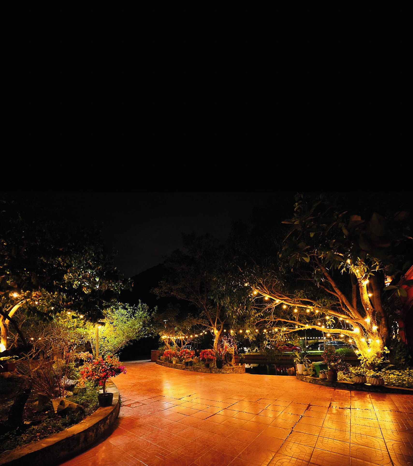 A nighttime outdoor area with trees, potted plants, and a paved walkway.