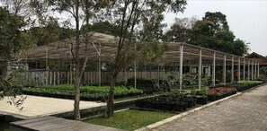Property grounds - Citrus House COM Bogor (Bogor)