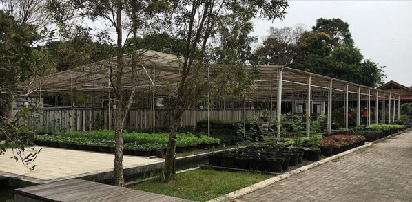 Property grounds - Citrus-house.com (Bogor)