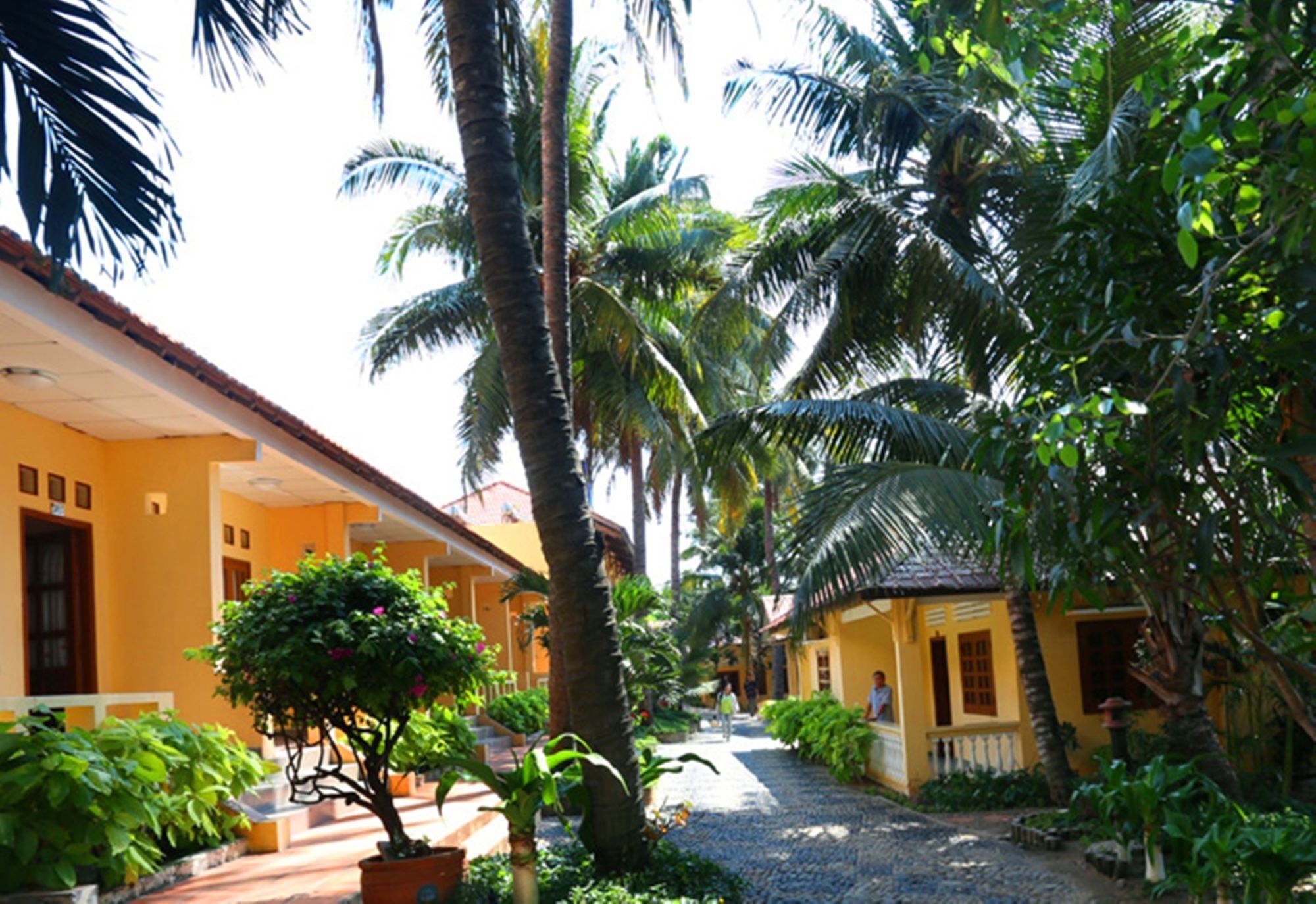 A courtyard with a pathway, palm trees, and a yellow building with a tiled roof.