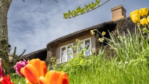 A rustic house with a thatched roof, a window, and a tree in the foreground. - Westertilli 8 – Thatched-Roof House with Romantic Garden (Pellworm)