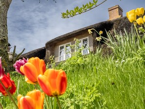 A rustic house with a thatched roof, a window, and a tree in the foreground. - Westertilli 8 – Thatched Cottage with Romantic Garden (Pellworm)