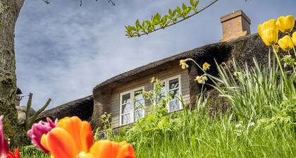 Westertilli 8 â Maison au toit de chaume avec jardin romantique