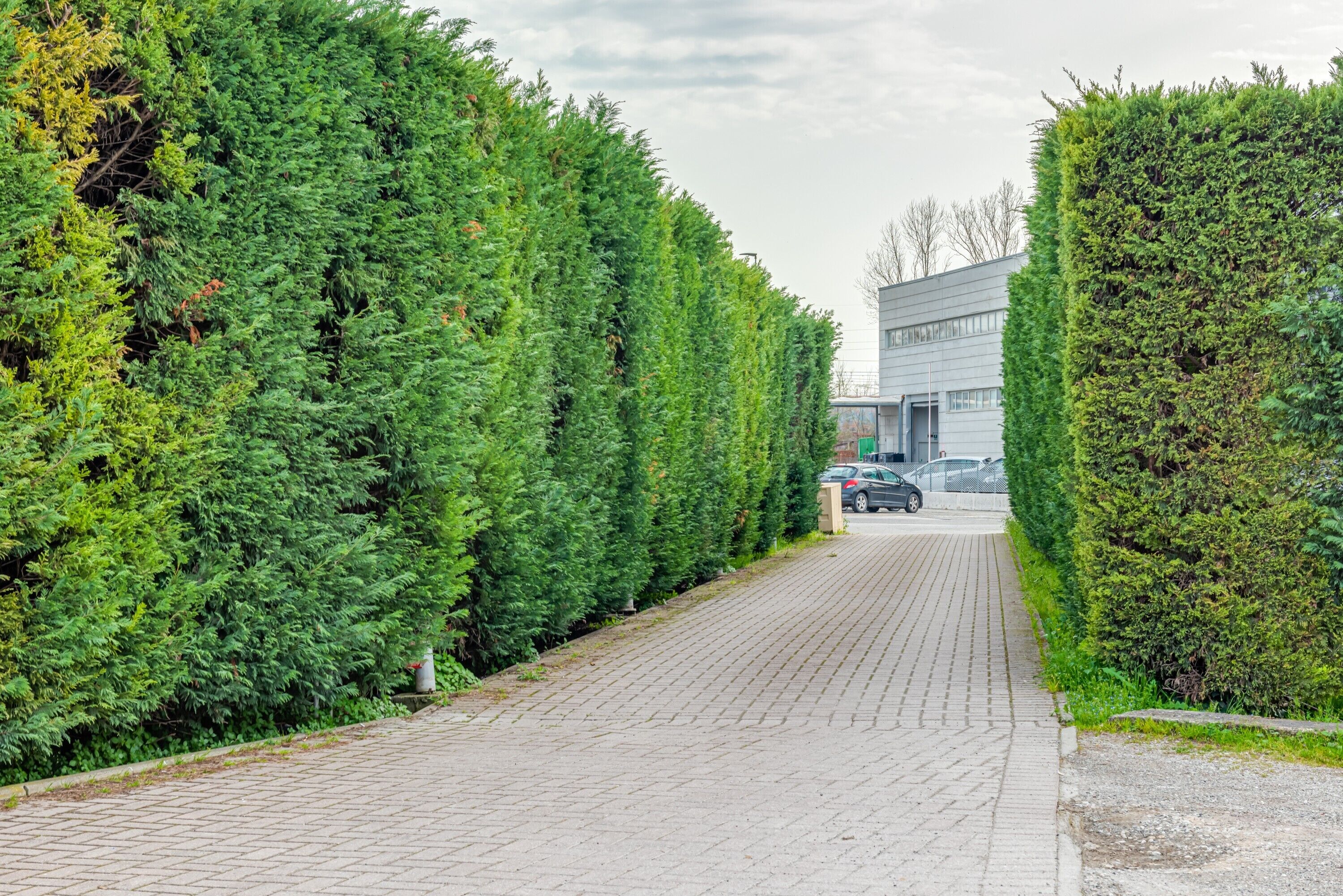 Parco della struttura