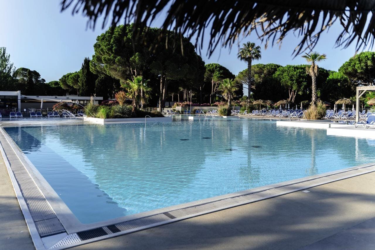 Ein Schwimmbecken mit klarem Wasser, umgeben von Liegestühlen und Palmen.