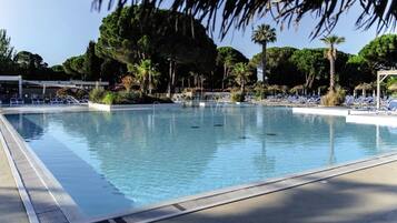 Ein Schwimmbecken mit klarem Wasser, umgeben von Liegestühlen und Palmen.