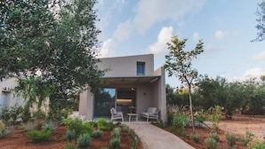 Une maison moderne dotée d’un patio couvert, d’un espace salon extérieur et d’un jardin.
