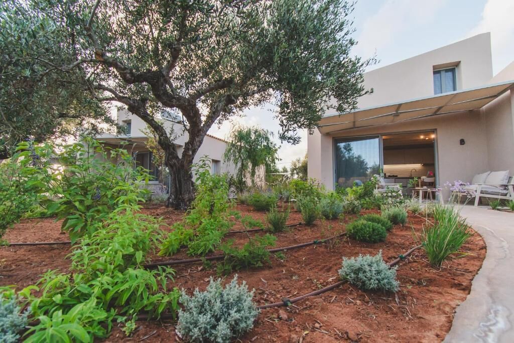 Suite, tilpasset bevegelseshemmede, bassengutsikt | Overnattingsstedets uteområder