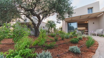 Suite, tilpasset bevegelseshemmede, bassengutsikt | Overnattingsstedets uteområder