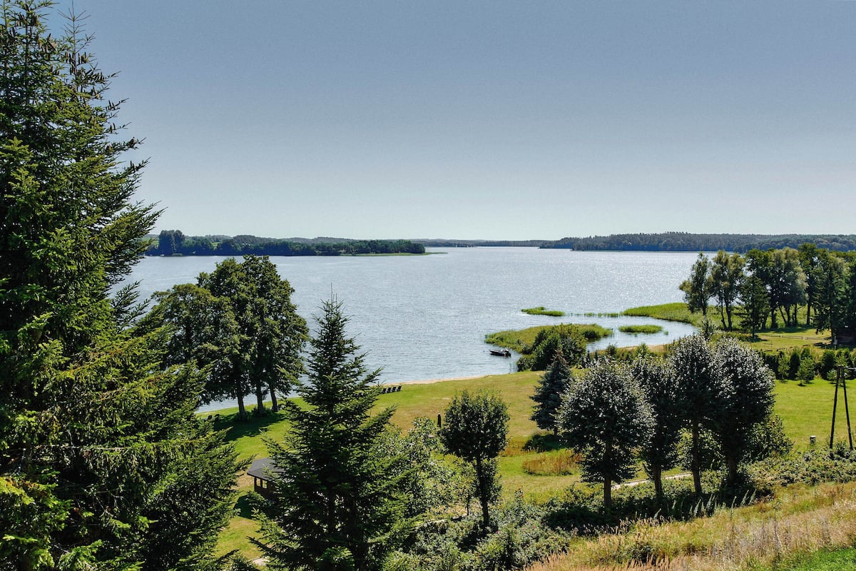 A lake surrounded by trees and a grassy area.