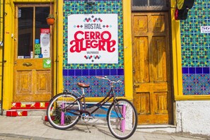 Exterior detail - Hostal Cerro Alegre (Valparaiso)