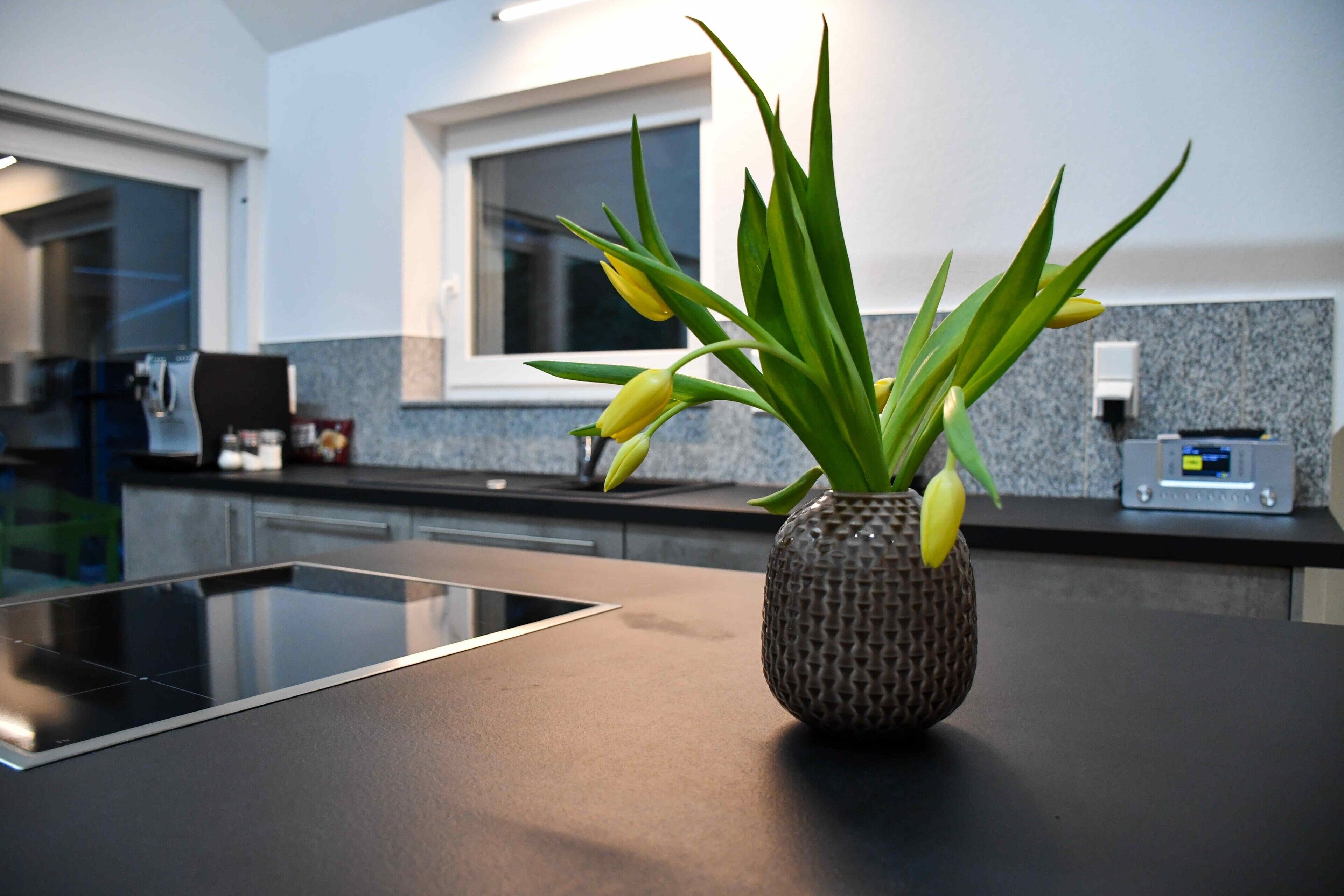 Refrigerador, horno, parrilla de estufa y lavavajillas 