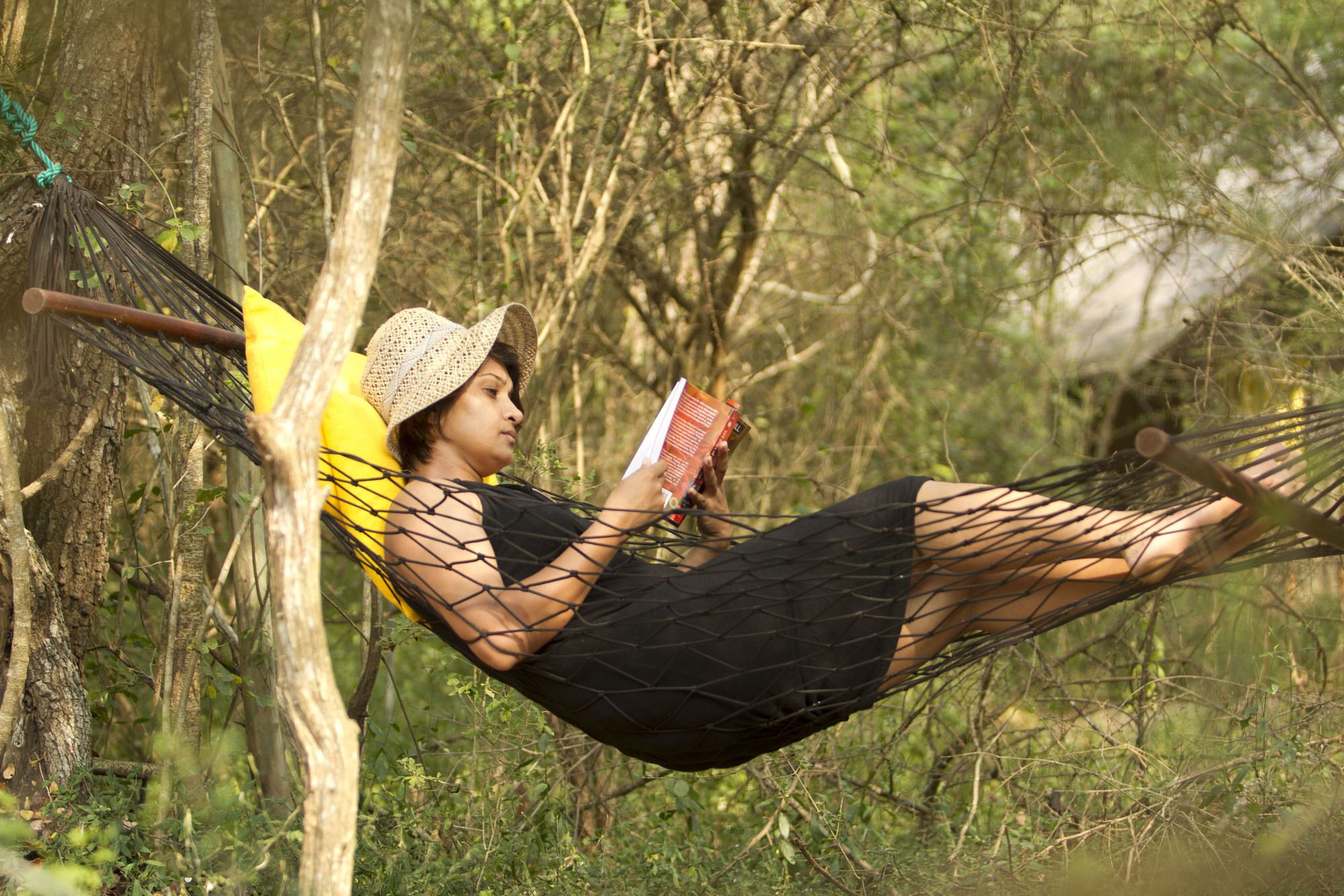 A hammock in a natural setting with trees and greenery.
