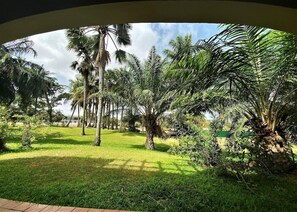 A lush garden with palm trees and grass. - Kololi Beach Club (Serrekunda)