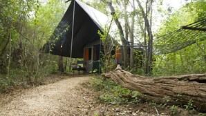 A forested area with a black tent-like structure, a dirt path leading to it, and a large fallen tree trunk. - Mahoora Tented Safari Camp Udawalawe (Udawalawa)