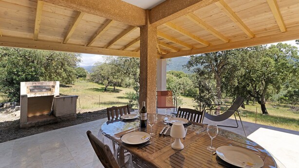 Un'area pranzo all'aperto con un tavolo di legno, sedie, un barbecue e un'amaca.