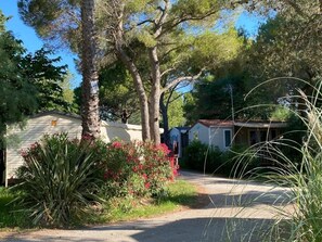 Property grounds - ZEcamping 2 étoiles piscine pet friendly mobil-home TV clim 32m2 (Villeneuve-lès-Maguelone)