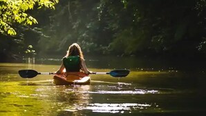 Una persona practica kayak en aguas tranquilas, rodeada de árboles.