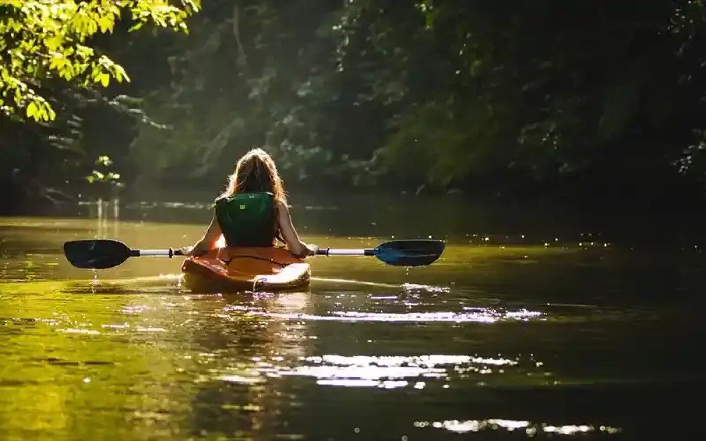 Iemand kajakt op kalm water, omgeven door bomen.