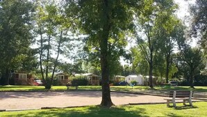 A park with a picnic table and a large tree. There are several RVs parked in the background. - ZEcamping 3* piscine dog friendly mobil-home BBQ 6 pers (Sandrans)