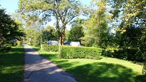 Una calle residencial con un sendero pavimentado, setos recortados y árboles.