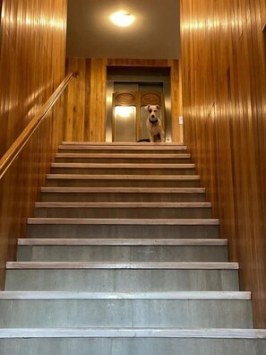 Interior - Las Bayas Home Suites (Esquel)