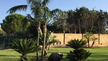 Terrain de l’hébergement