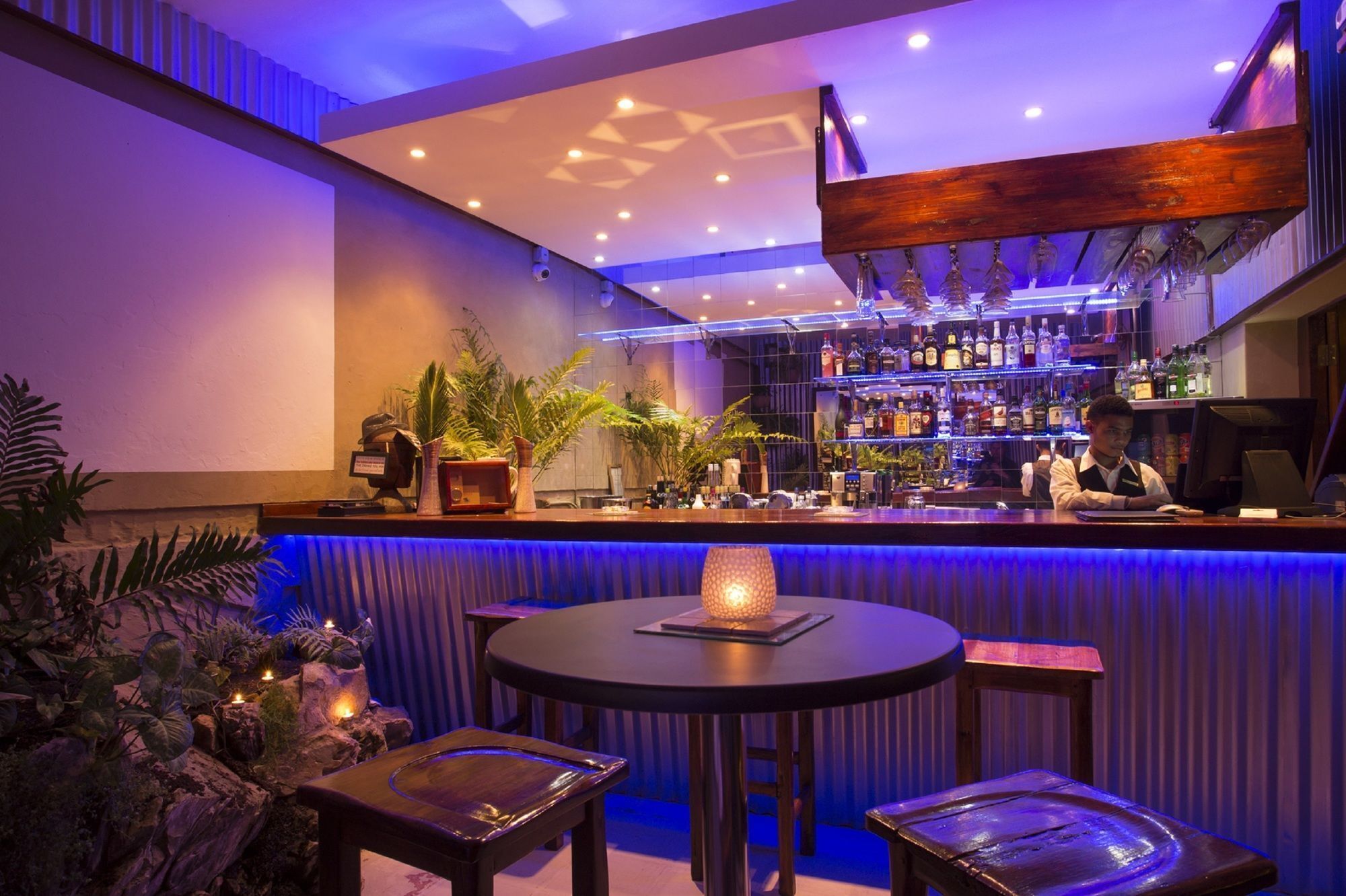 Bar (en la propiedad)