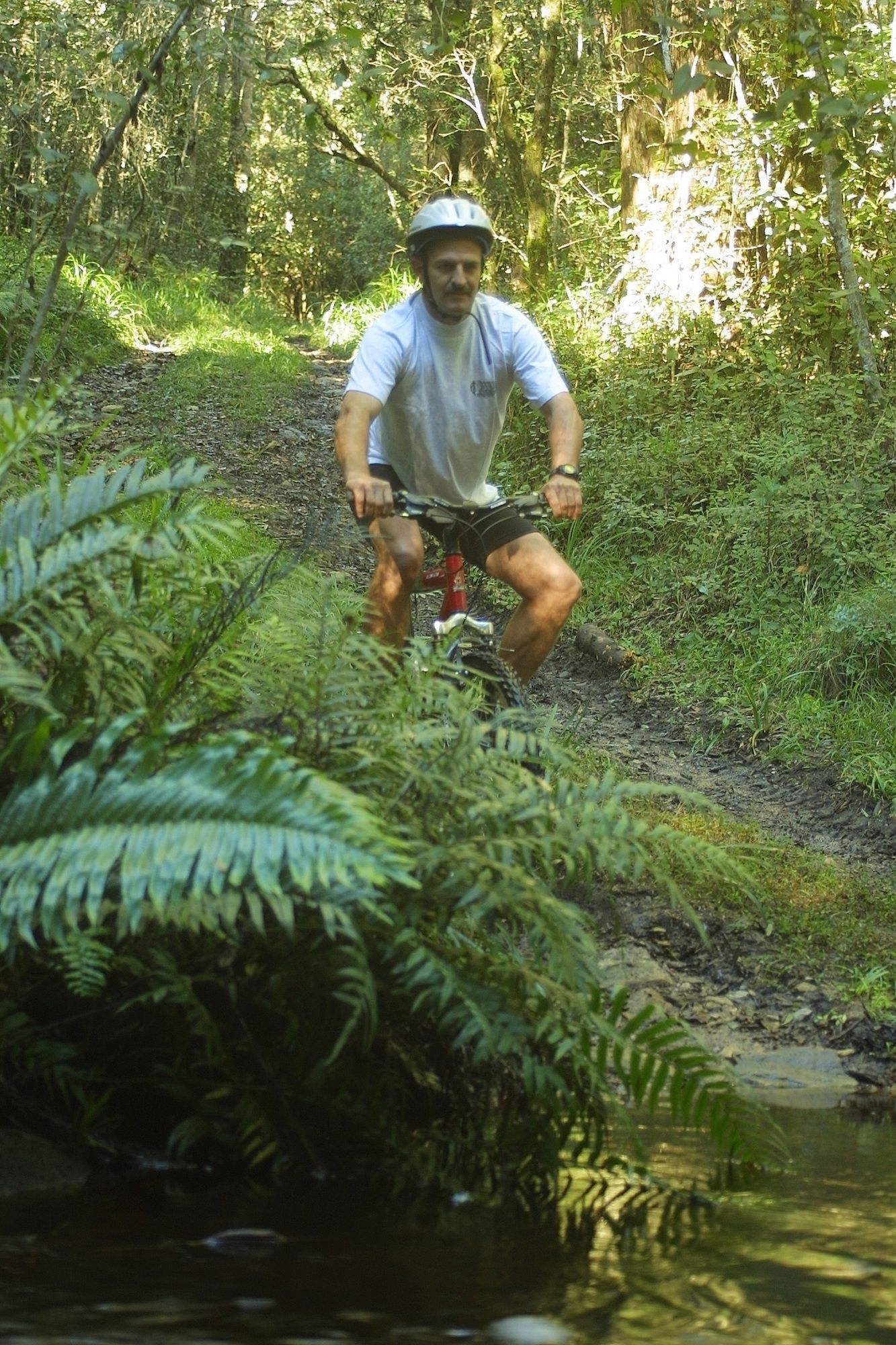 A person riding a bicycle on a dirt path surrounded by dense greenery and a small body of water.