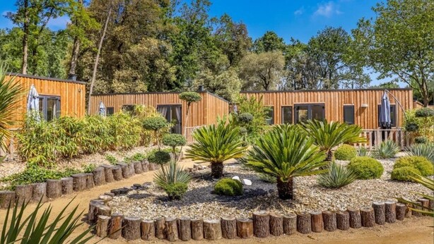 Uma cabana de madeira moderna com área de jardim, com diversas plantas e um deck de madeira.