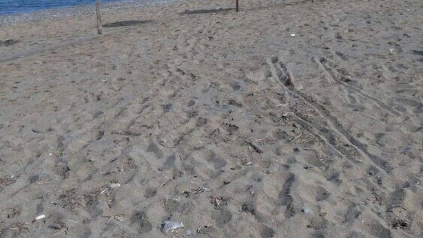 A sandy beach with three thatched umbrellas. - Santo George Beach (Malevizi)