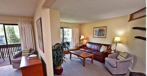 TV, fireplace - Unit A105 Lovely 1 BR 2 Bath  in Vail Village walk to ski lift Vail Village (Vail)