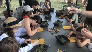 A group of people engaged in an outdoor activity, possibly a workshop, with baskets of plants and writing materials on a table. - Pelagaccio (Peccioli)