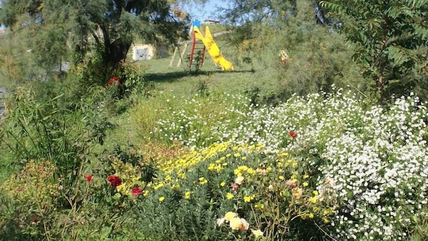 A garden with a yellow slide, various flowers, and trees. - Pelagaccio (Peccioli)