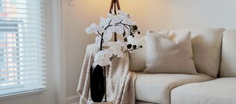 Cozy 1-bedroom apartment in lovely Houston