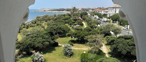 Une vue à travers une fenêtre, offrant une perspective dégagée sur un parc avec des arbres et un sentier, une route avec des voitures, et des bâtiments en arrière-plan.