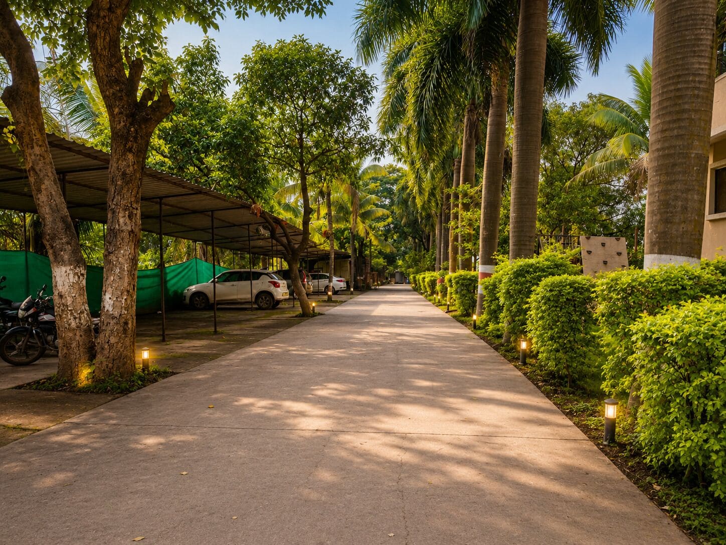 A pathway lined with trees and parked cars, leading to a building with a covered area.