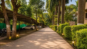 A pathway lined with trees and parked cars, leading to a building with a covered area.
