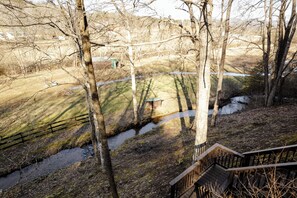 Property grounds - Tremendous 3-bedroom cabin with AC in charming Franklin (Franklin)