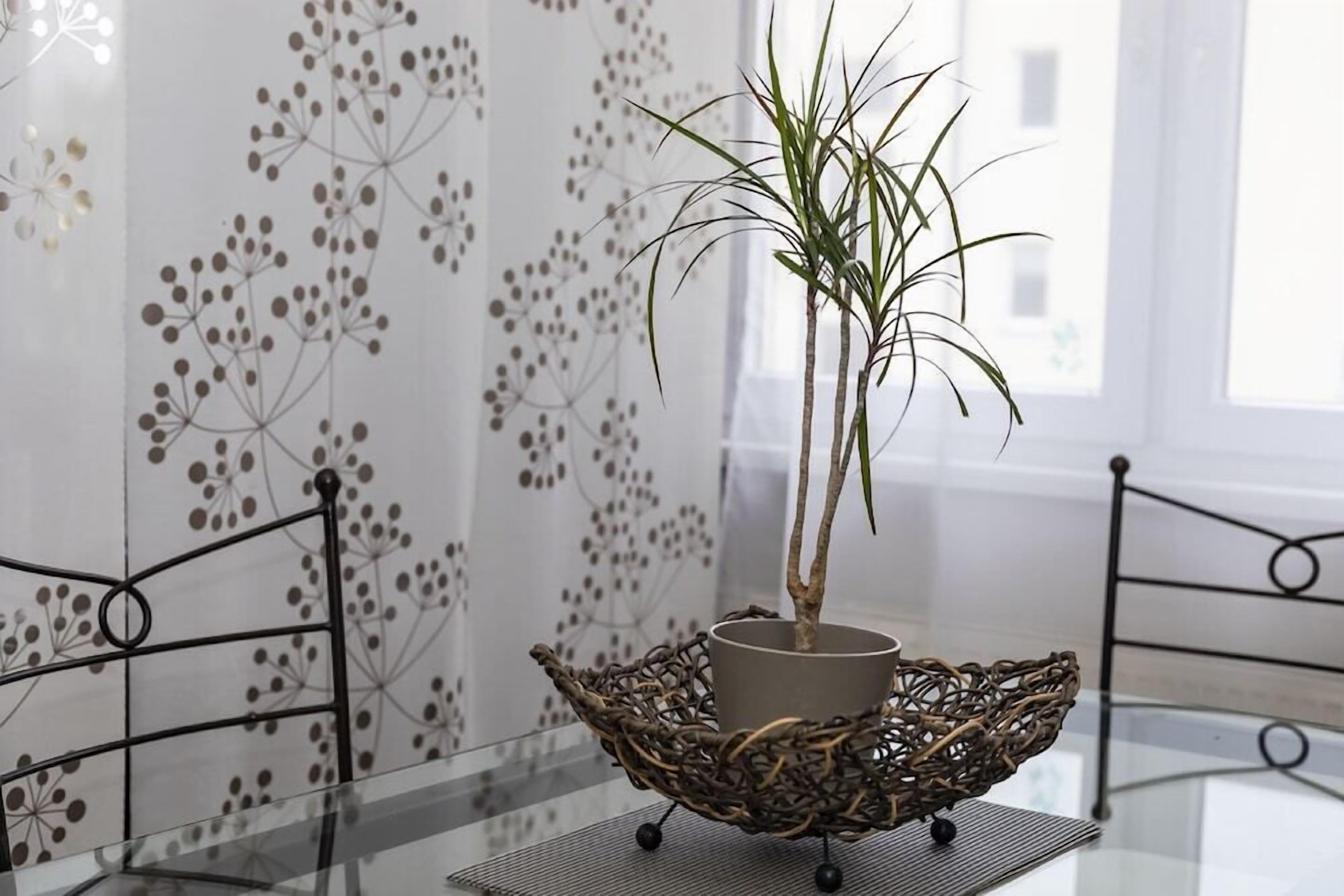 A potted plant on a glass table with a woven basket base, set against a wall with a floral pattern.
