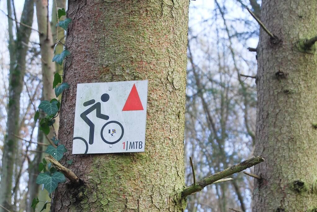 Wanderwegweiser an einem Baum mit Bergsymbol und rotem Dreieck.