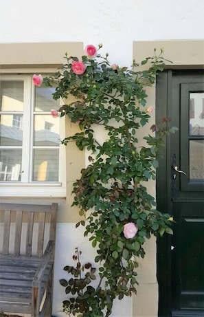 Detall de l'exterior