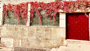A building with a brick facade, a red door, and red ivy covering the wall. - Spacious Stone Villa With Sea Views (Dubrovnik)