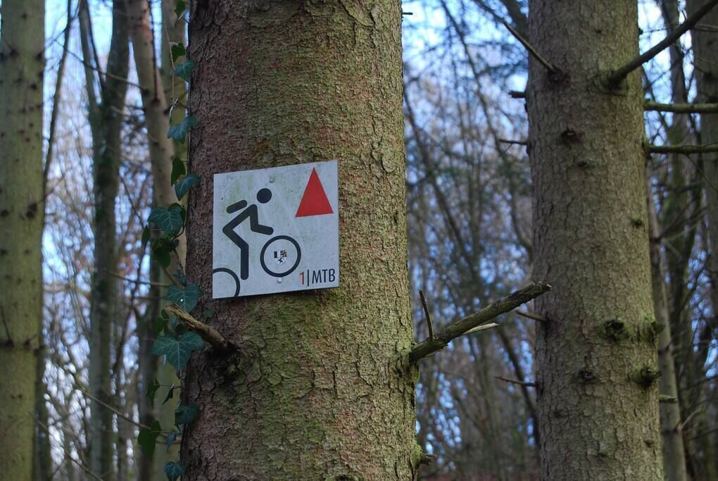 Un panneau sur un arbre indique un sentier de 1,6 kilomètre (1 mile) et utilise un triangle rouge comme symbole.
