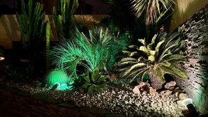 Jardín rocoso con diversos cactus y suculentas, iluminado con luz verde.