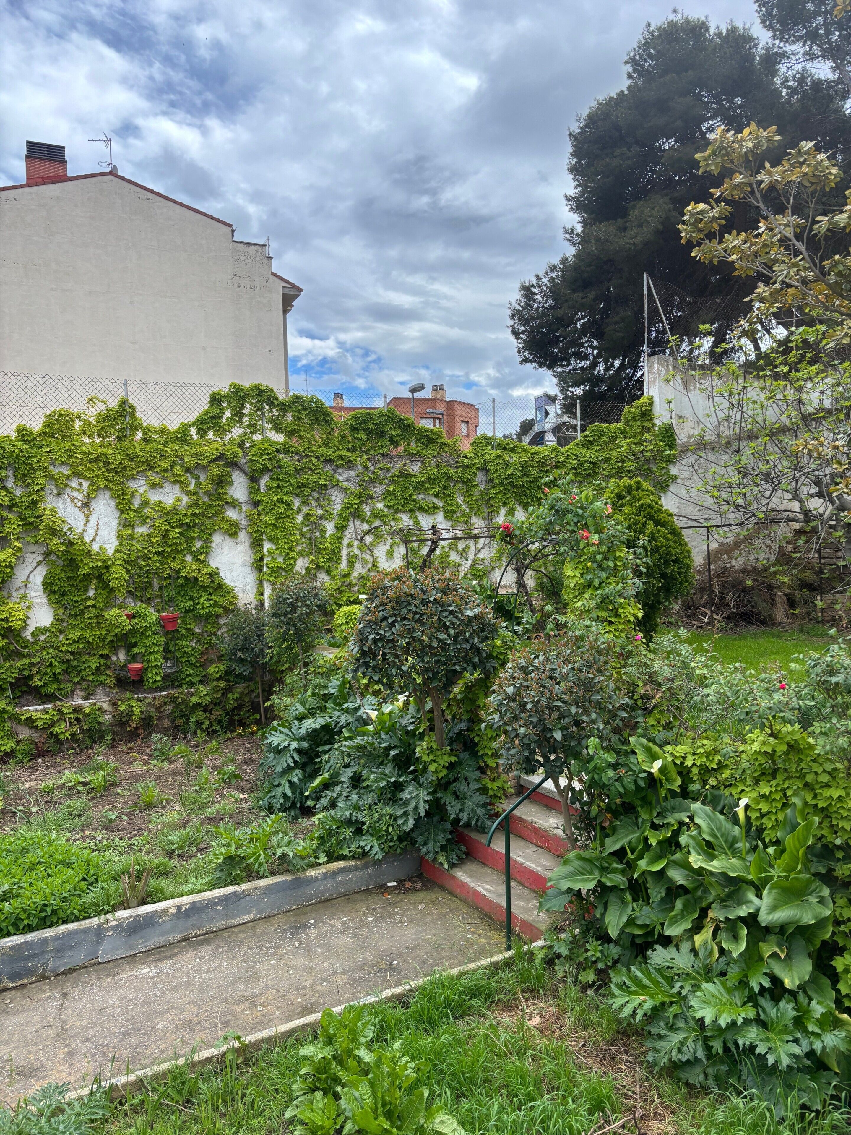 Ein Garten mit verschiedenen Pflanzen und einem Betonweg.
